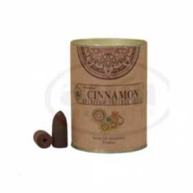 Conos de Reflujo Goloka Nag Cinnamon